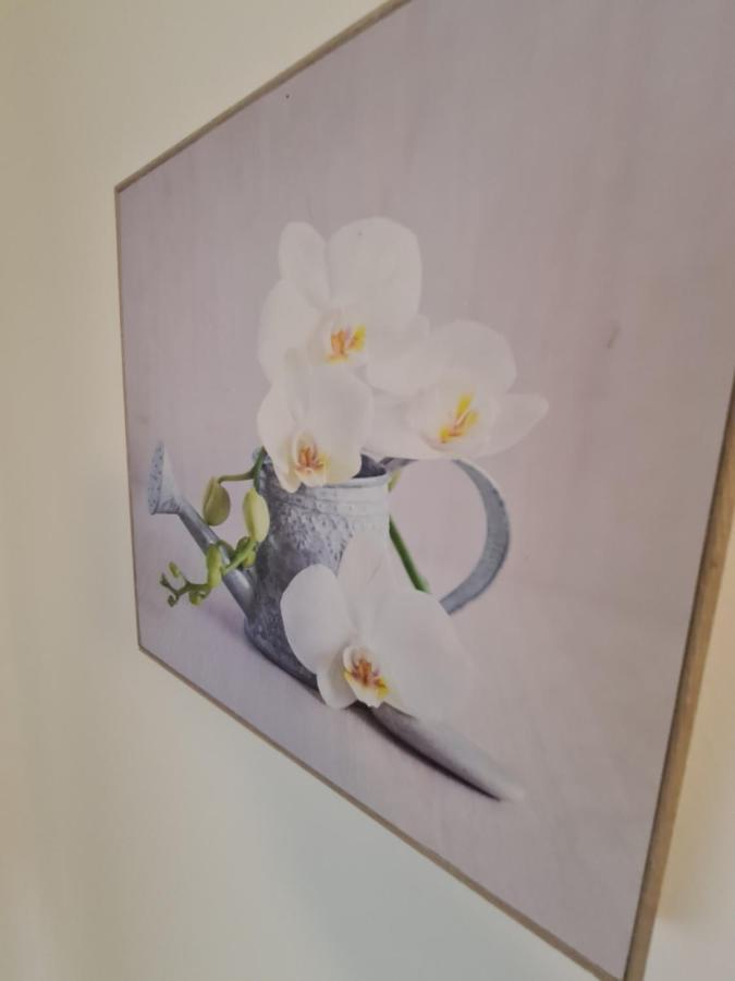 Zseki Apartman Hajdúszoboszló Extérieur photo